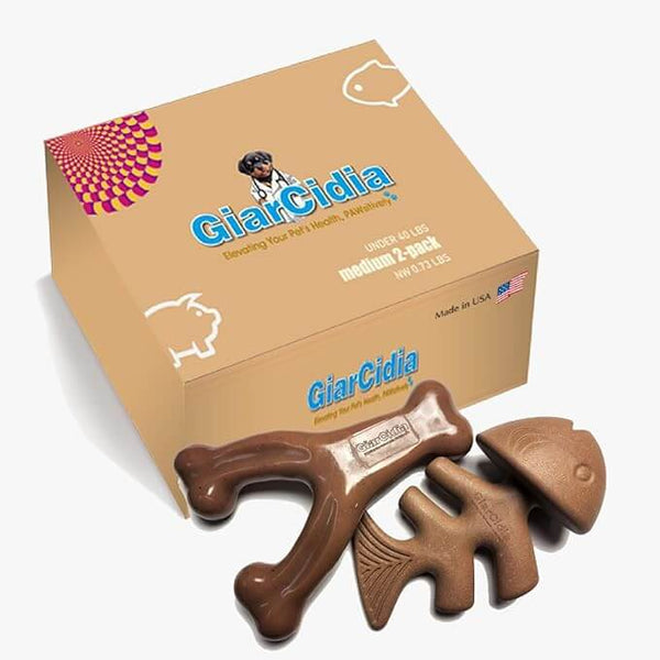 Dog Chew Toys for Aggressive Chewers